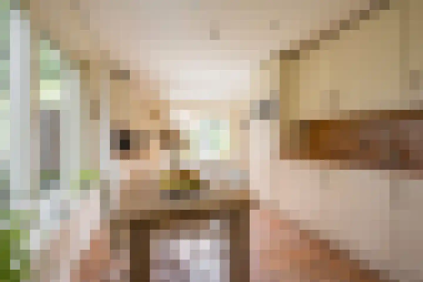 Ostadehof 22 Nijkerk thumbnail 14
