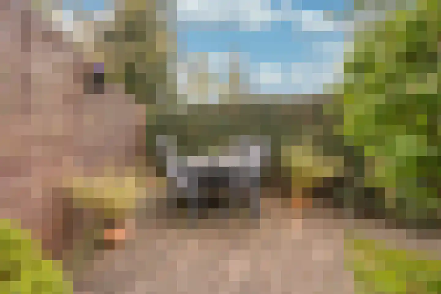 Ostadehof 22 Nijkerk thumbnail 41