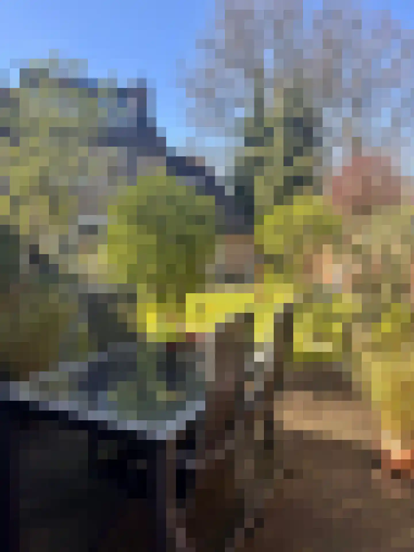 Ostadehof 22 Nijkerk thumbnail 42