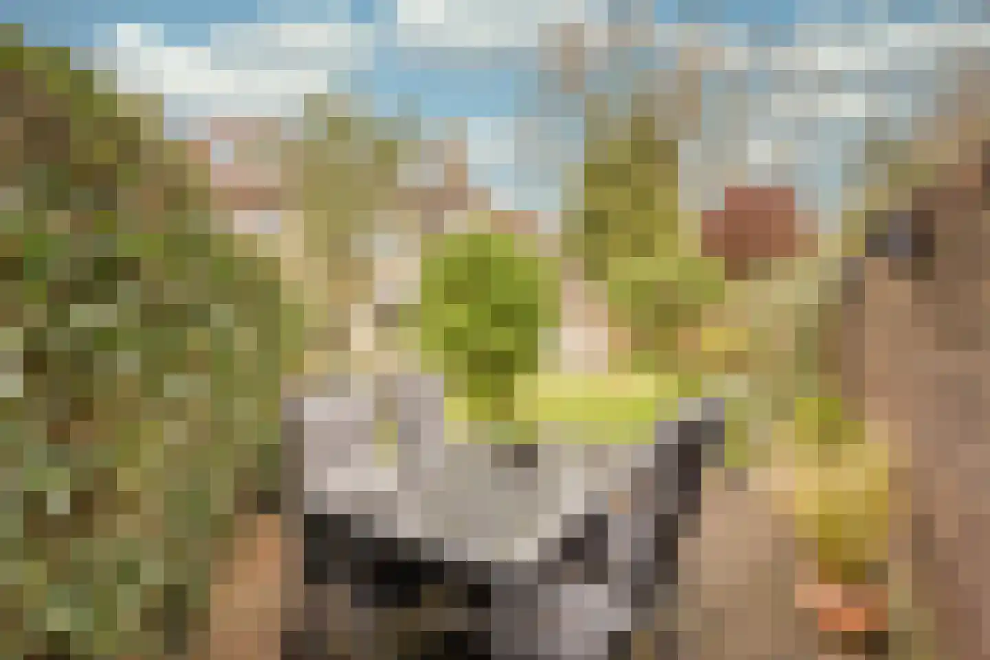 Ostadehof 22 Nijkerk thumbnail 43