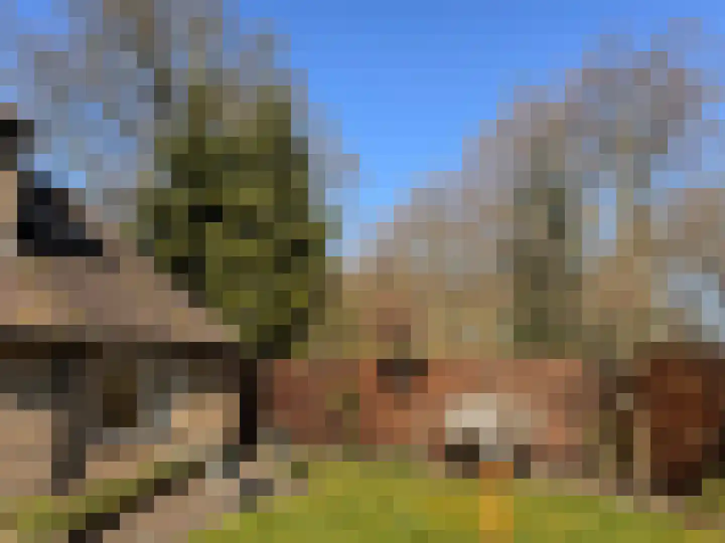 Ostadehof 22 Nijkerk thumbnail 45