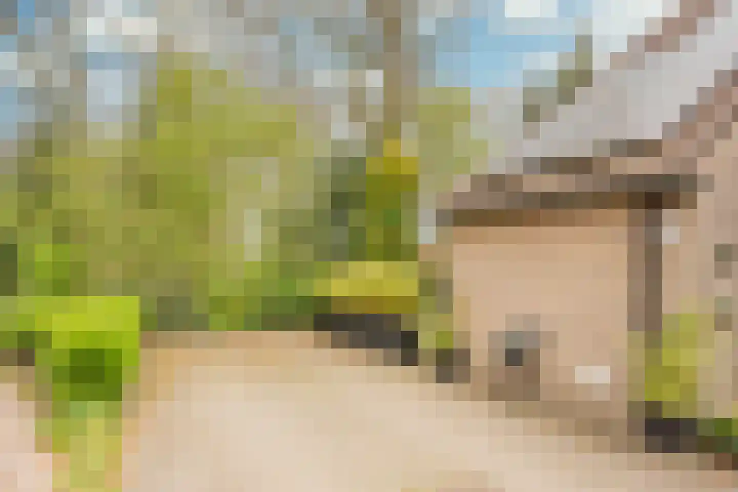 Ostadehof 22 Nijkerk thumbnail 49
