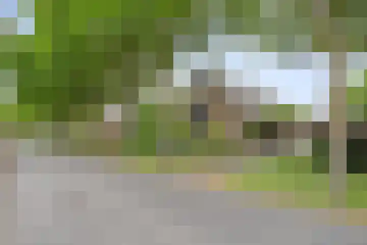 Ostaderstraat 6 Asten thumbnail 12