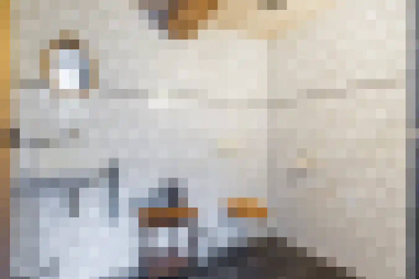 Ostaderstraat 6 Asten thumbnail 13