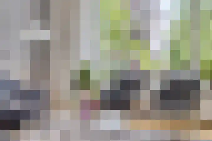 Ostaderstraat 6 Asten thumbnail 24