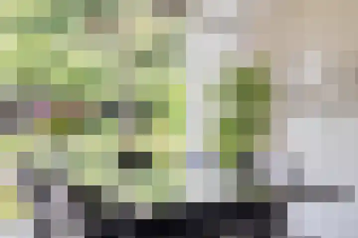 Ostaderstraat 6 Asten thumbnail 30