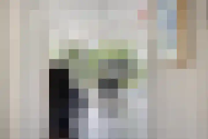 Ostaderstraat 6 Asten thumbnail 31