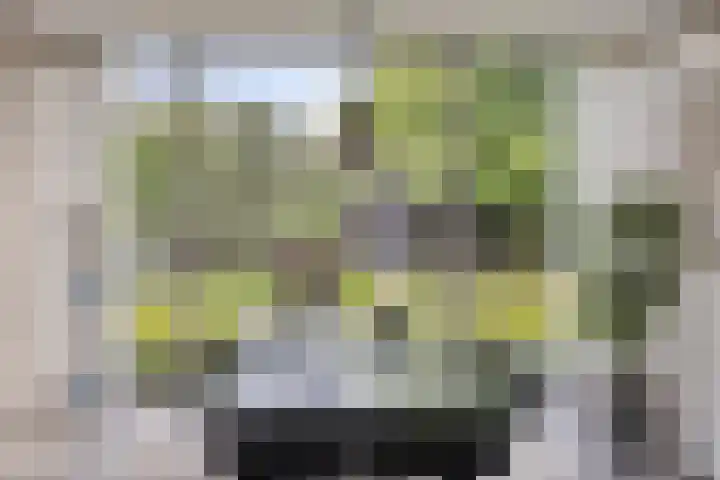 Ostaderstraat 6 Asten thumbnail 33