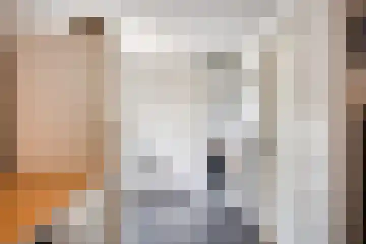 Ostaderstraat 6 Asten thumbnail 36