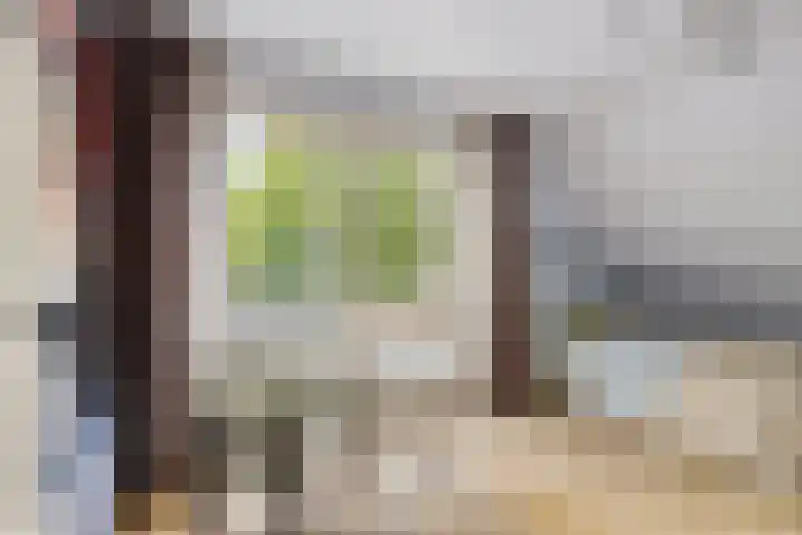 Ostaderstraat 6 Asten thumbnail 48
