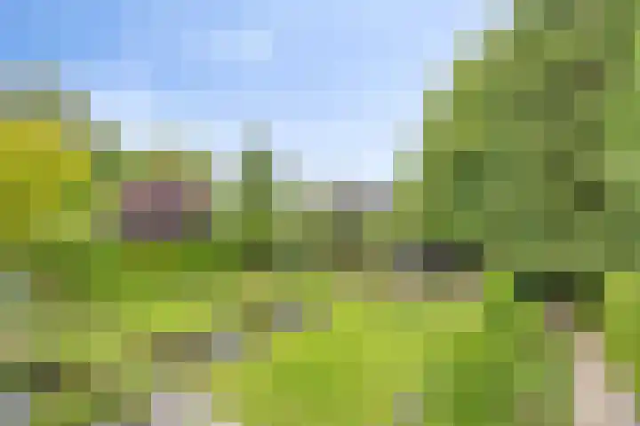 Ostaderstraat 6 Asten thumbnail 58