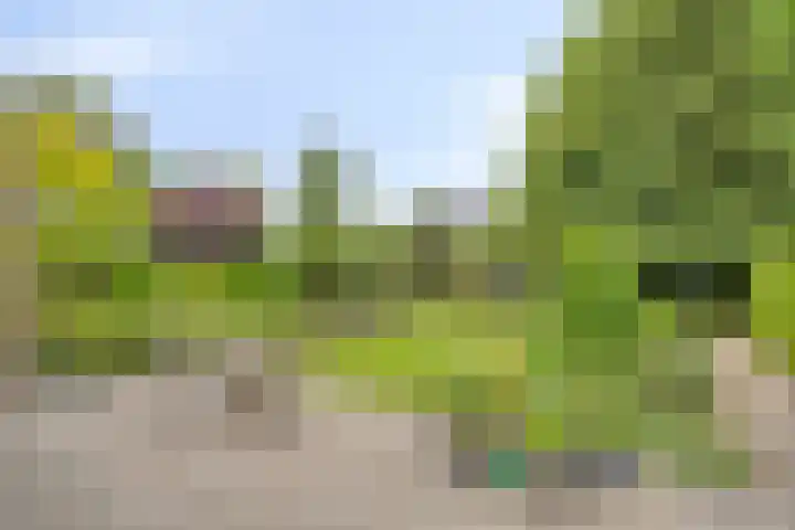 Ostaderstraat 6 Asten thumbnail 59