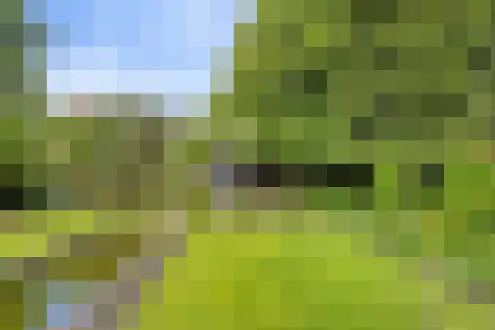 Ostaderstraat 6 Asten thumbnail 60