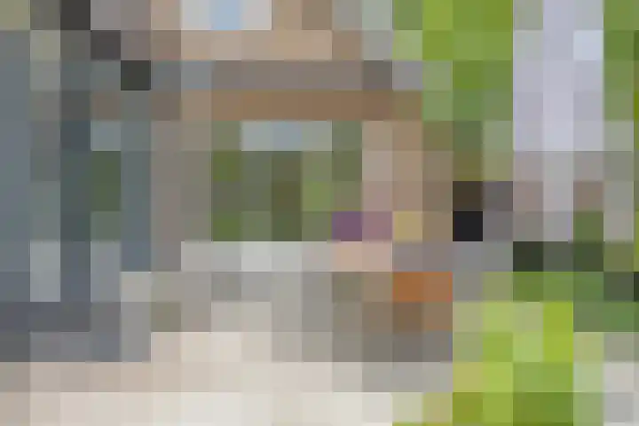 Ostaderstraat 6 Asten thumbnail 68