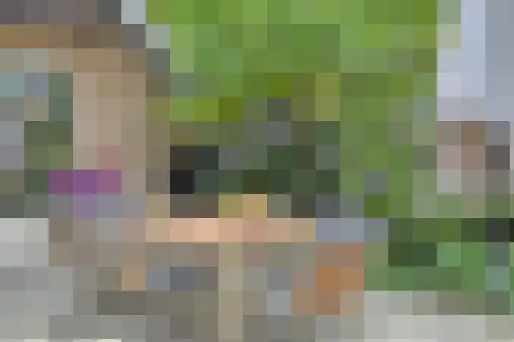 Ostaderstraat 6 Asten thumbnail 69