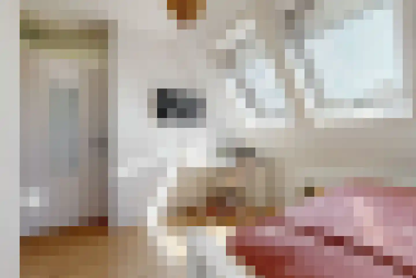 Ostara 3 Limmen thumbnail 21