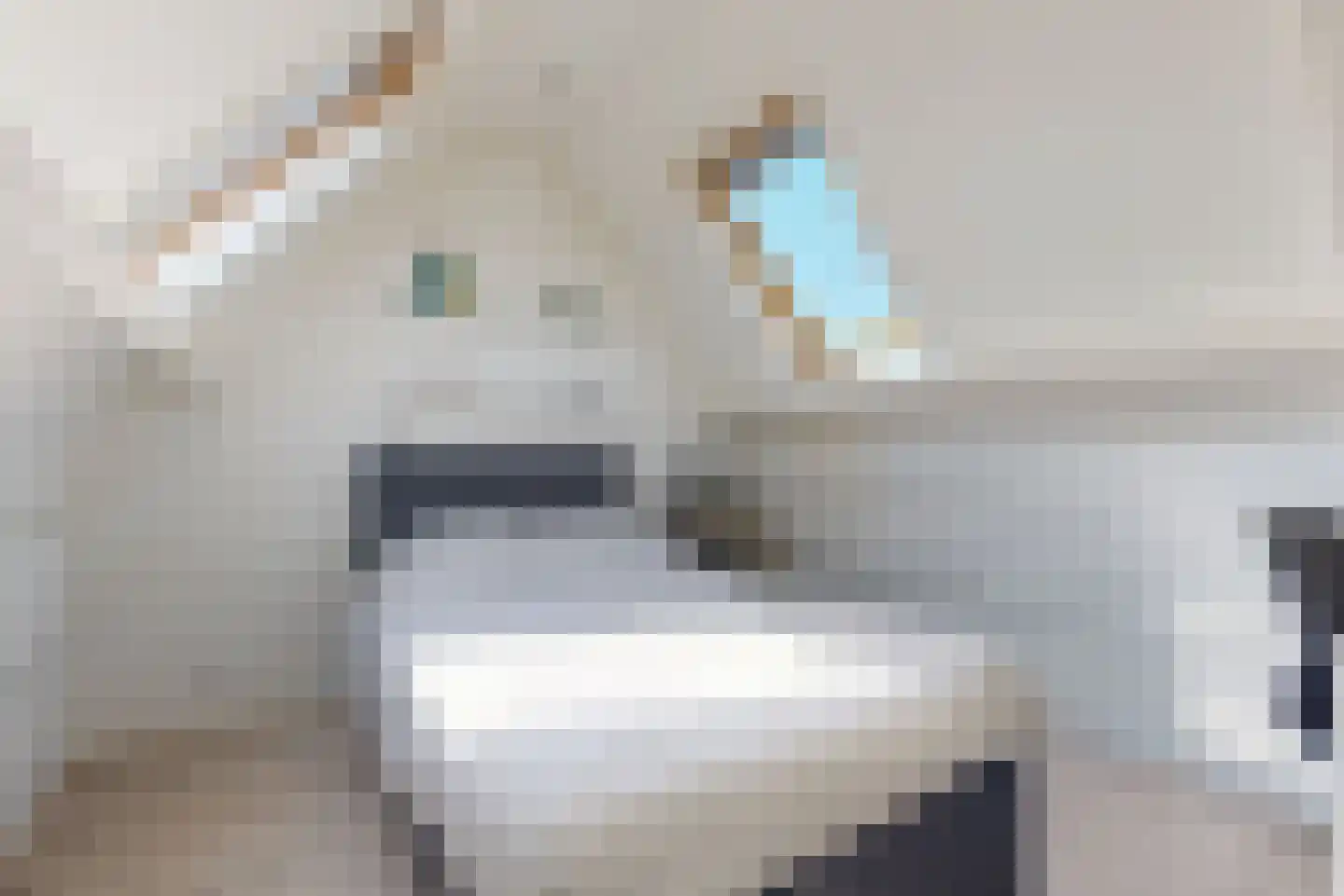 Ostara 3 Limmen thumbnail 30