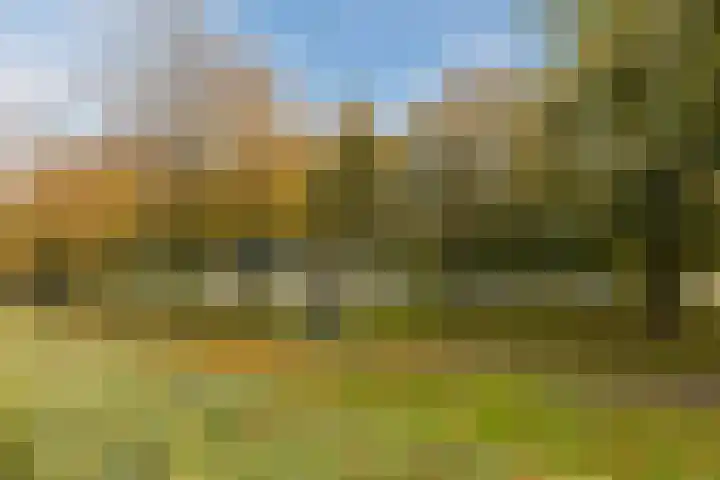 Ostara 4 Limmen thumbnail 37