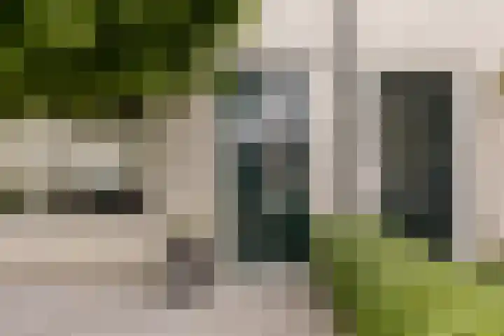 Ostara 4 Limmen thumbnail 5
