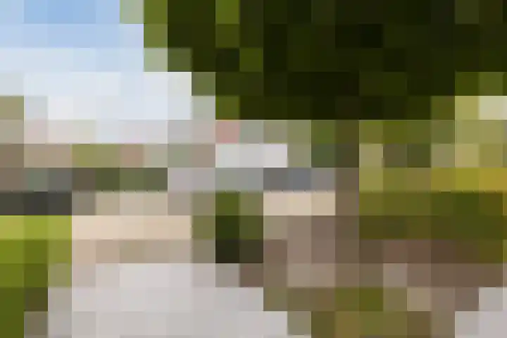 Ostara 4 Limmen thumbnail 6