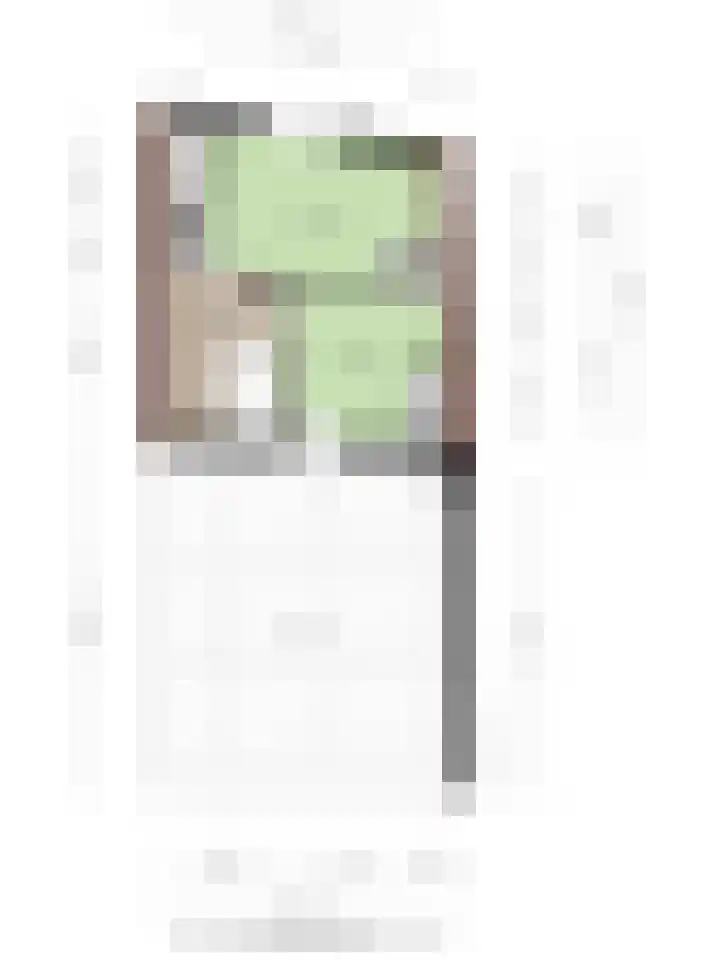 Ostendestraat 12 Goes thumbnail 28
