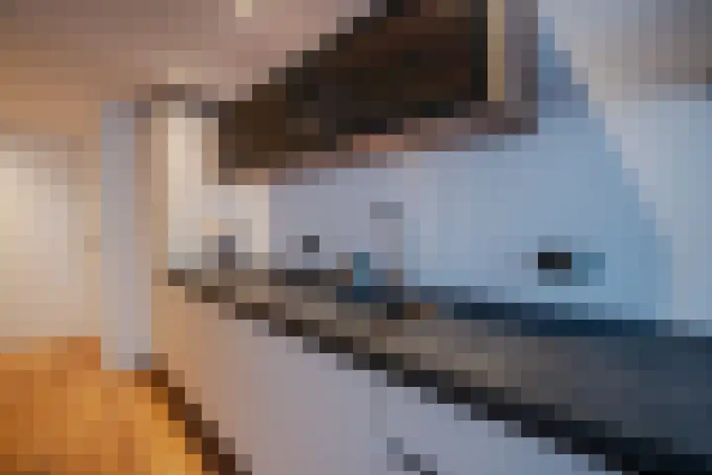 Ostendestraat 6 A Goes thumbnail 11