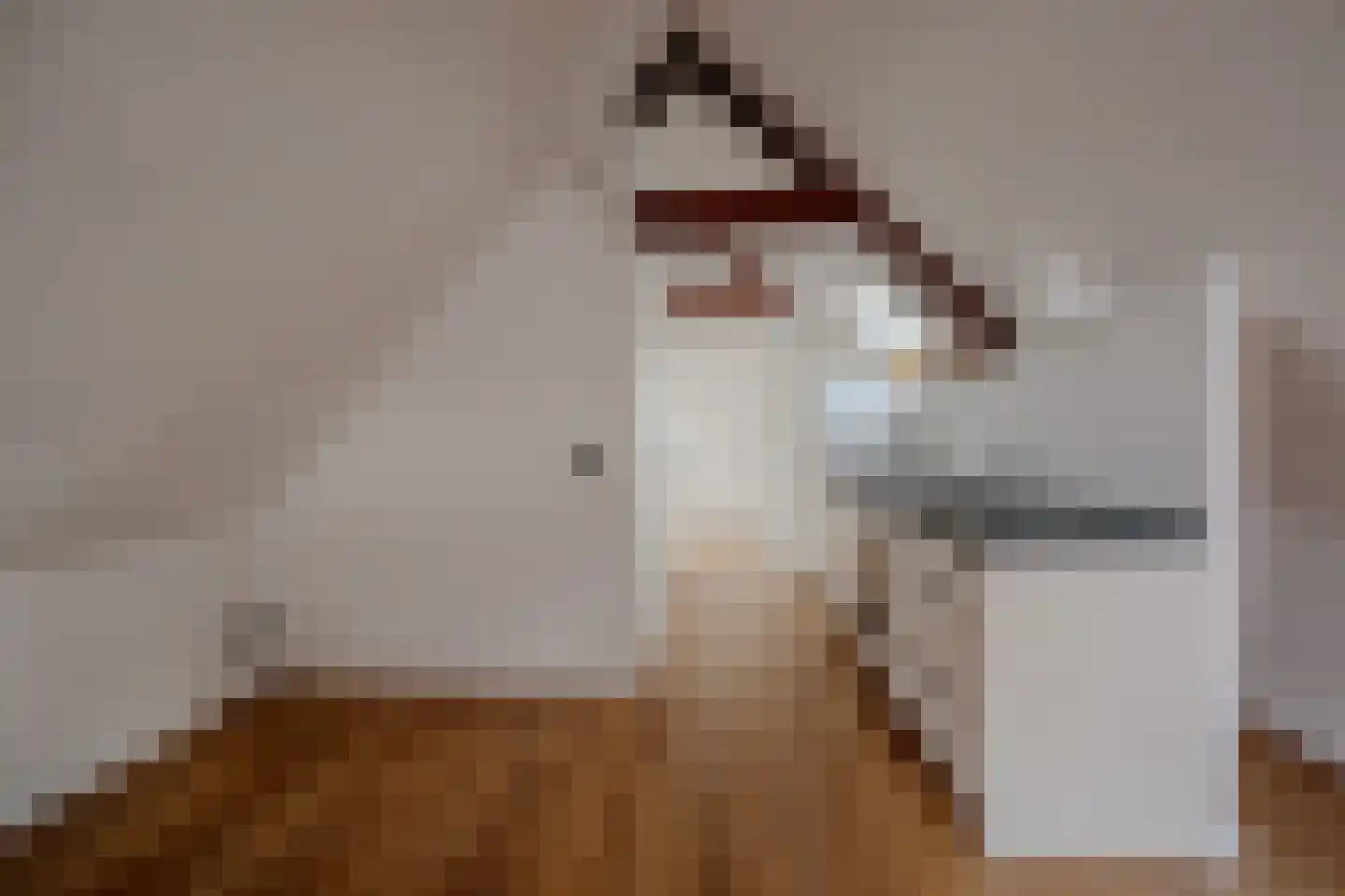 Ostendestraat 6 A Goes thumbnail 11