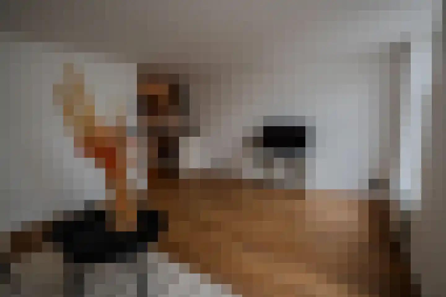 Ostendestraat 6 A Goes thumbnail 12