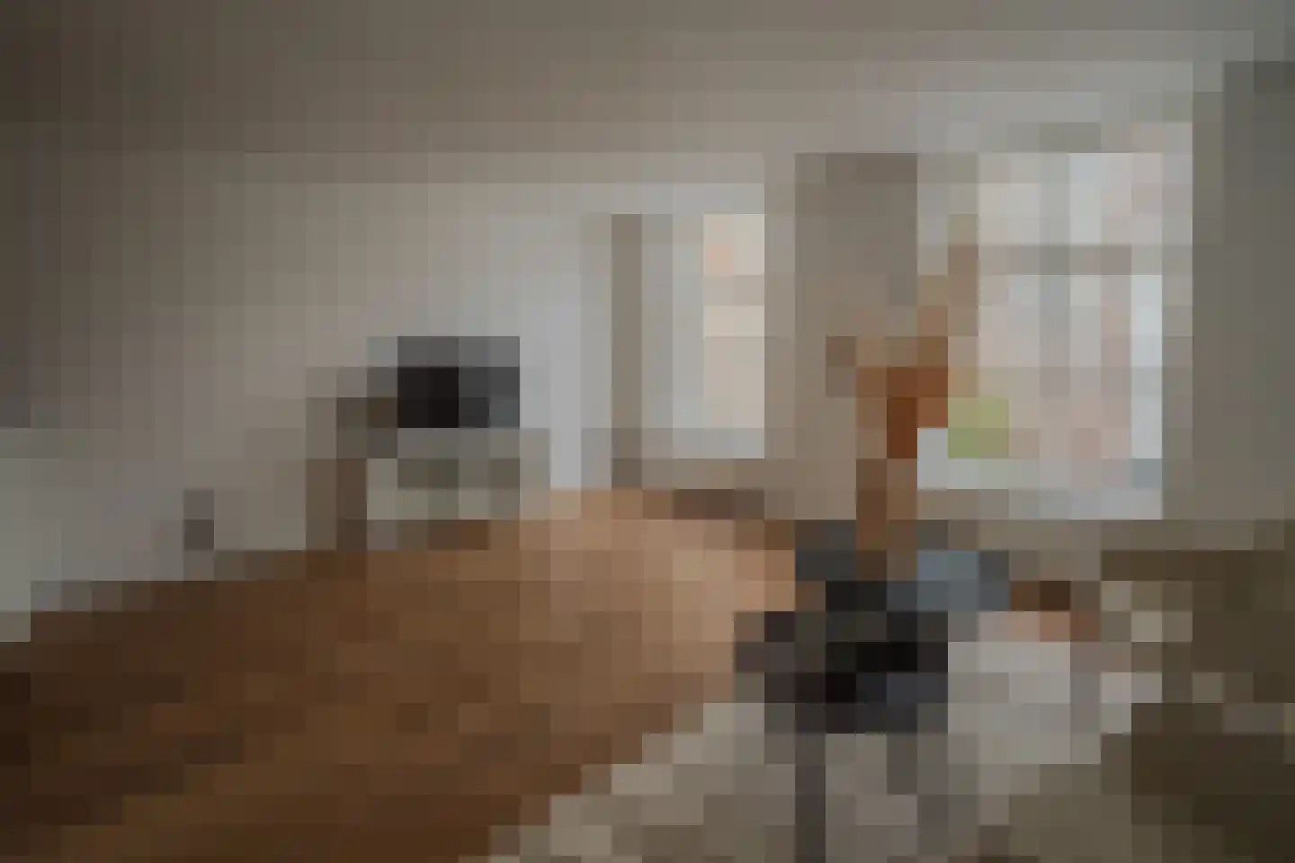 Ostendestraat 6 A Goes thumbnail 14