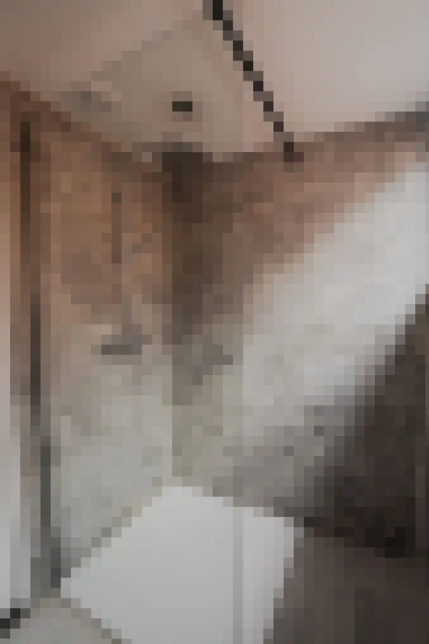 Ostendestraat 6 A Goes thumbnail 19