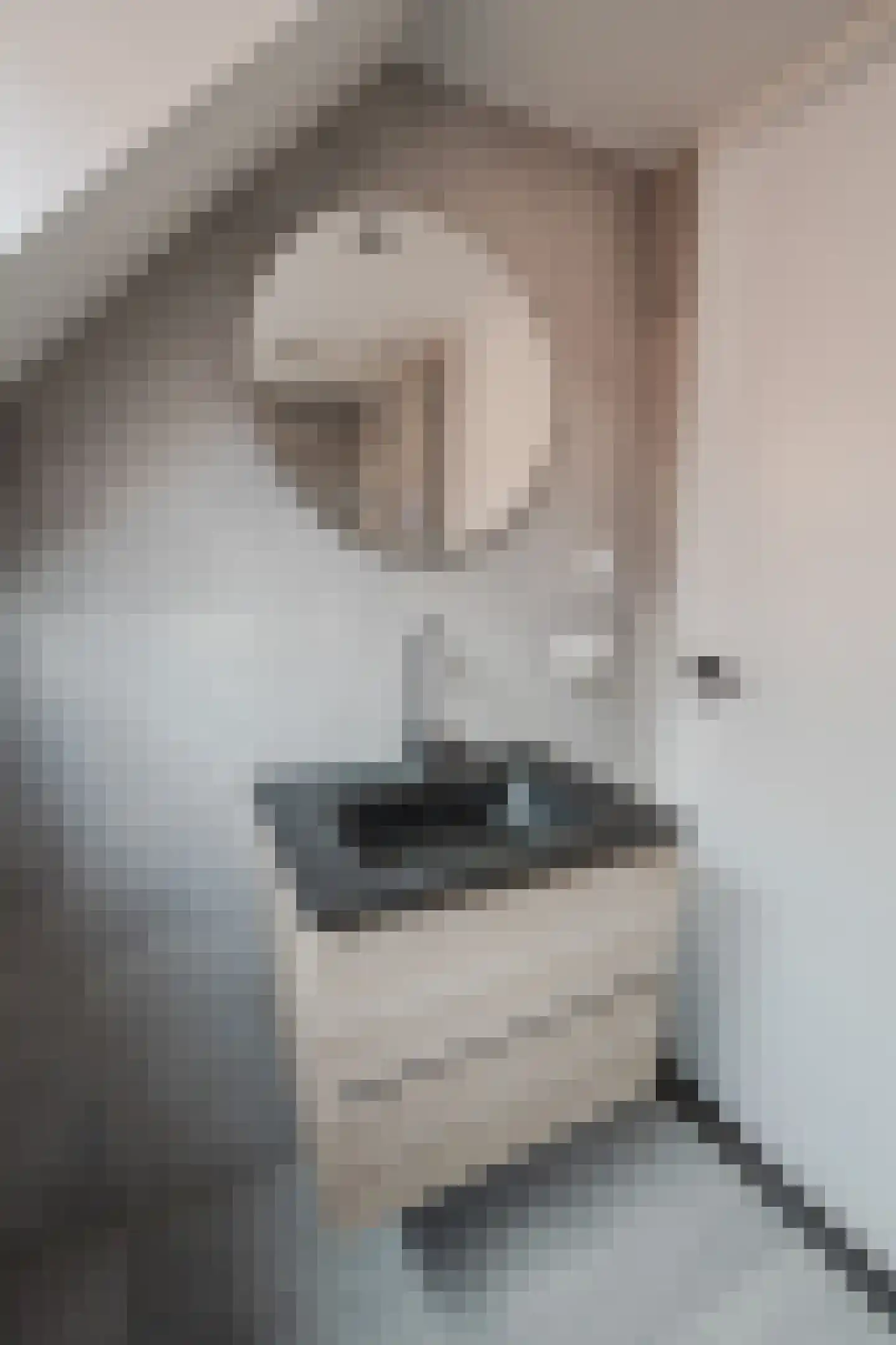 Ostendestraat 6 A Goes thumbnail 20