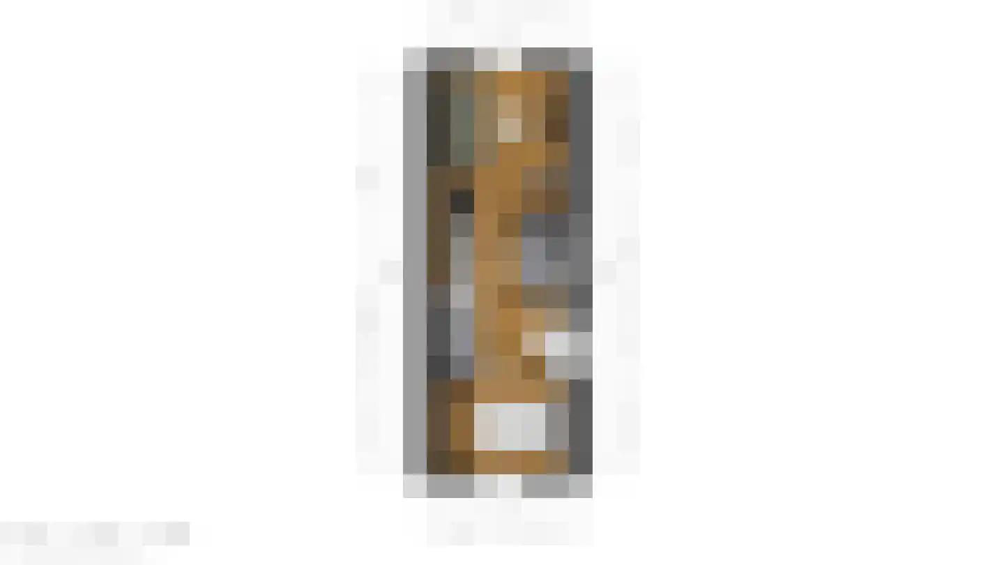 Ostendestraat 6 A Goes thumbnail 25