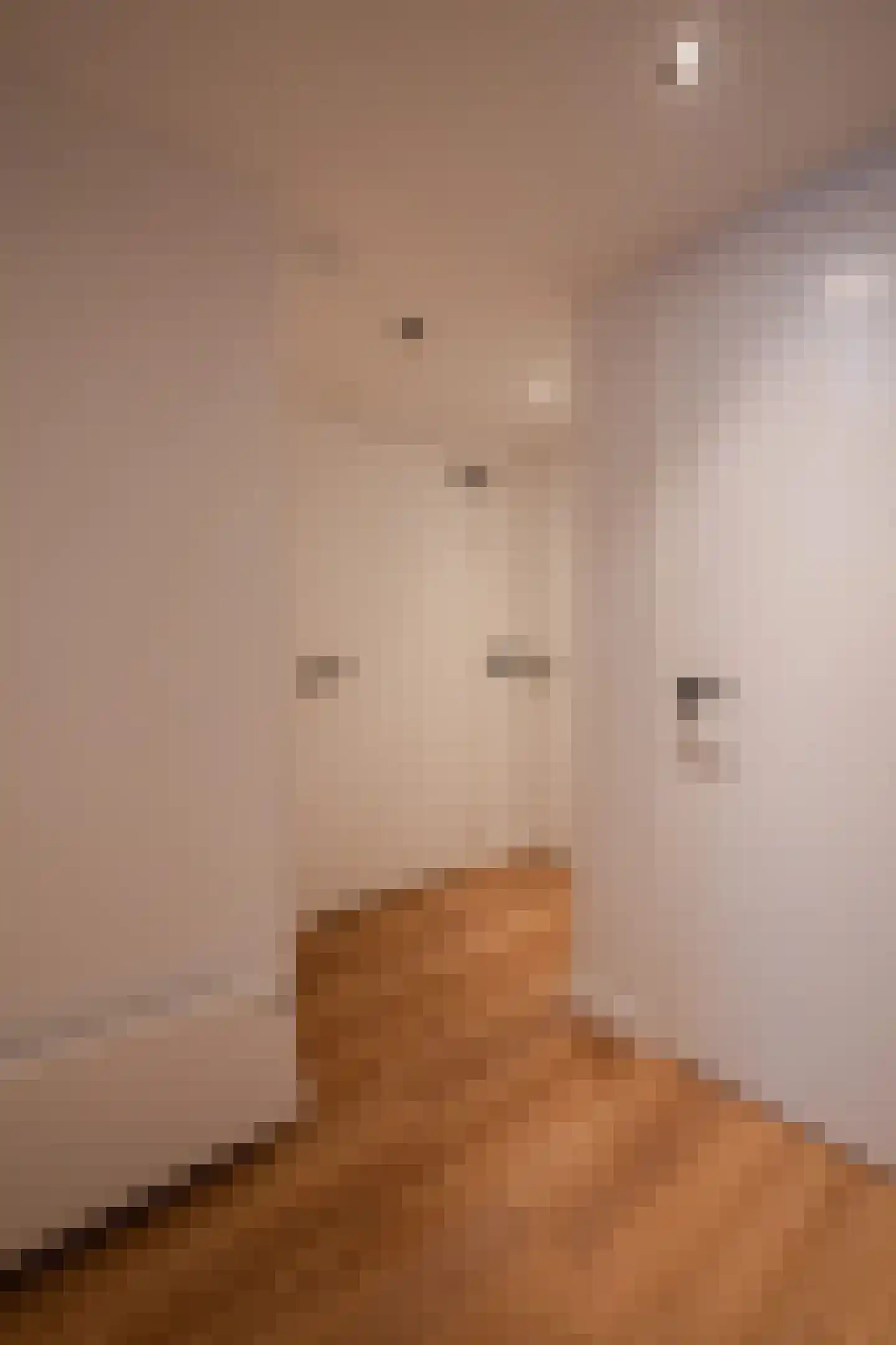 Ostendestraat 6 A Goes thumbnail 6