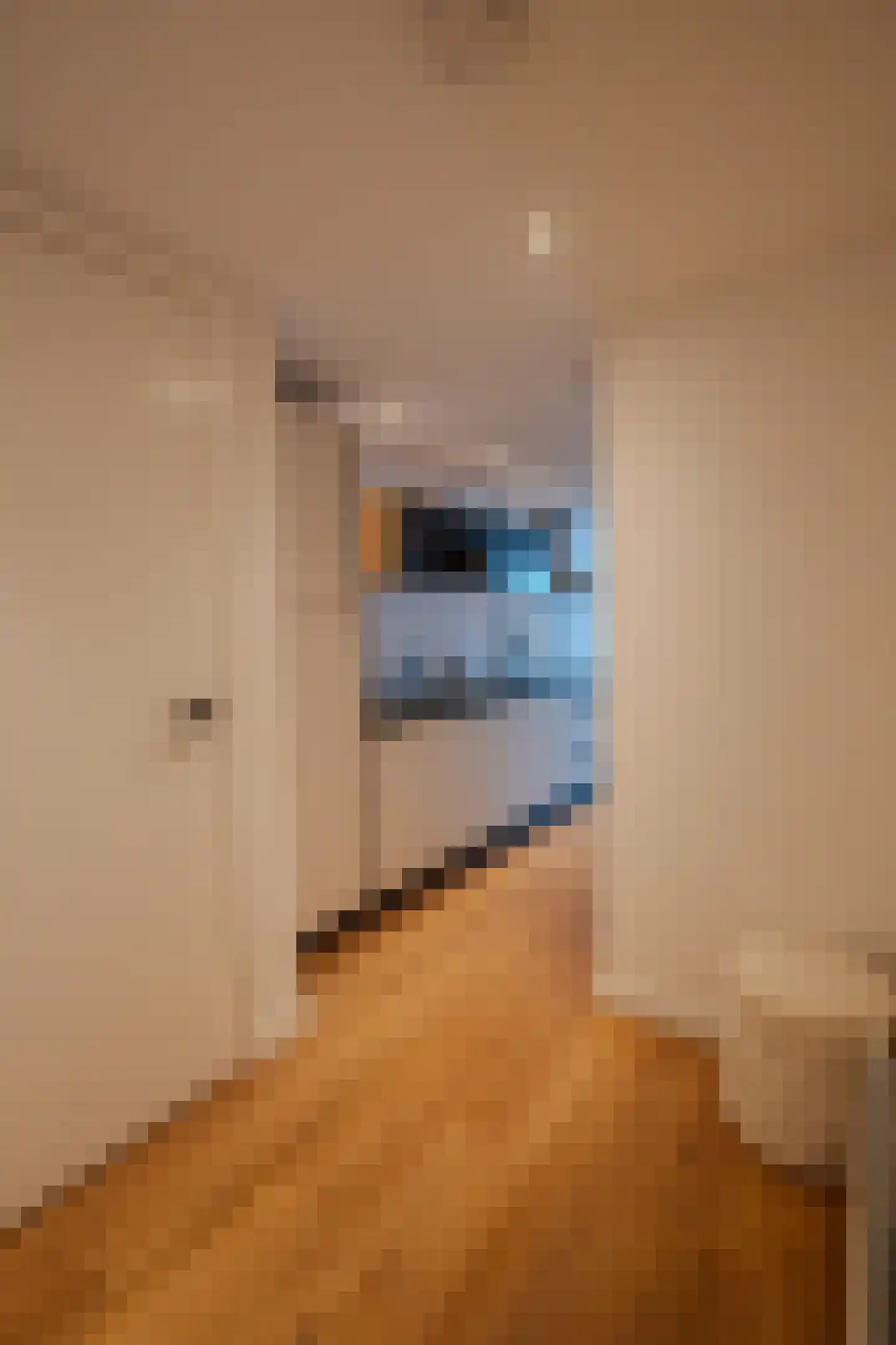 Ostendestraat 6 A Goes thumbnail 7
