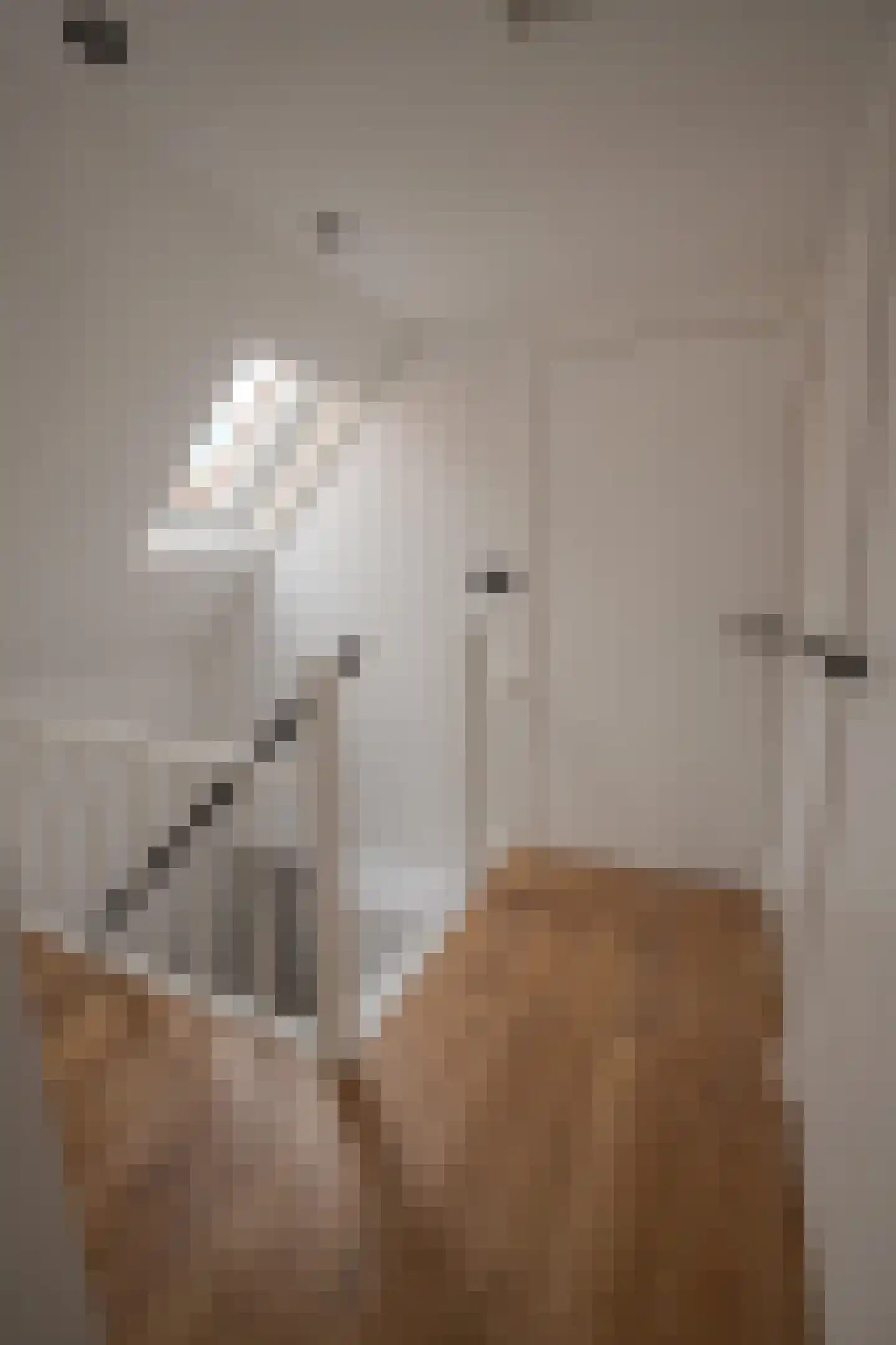 Ostendestraat 6 A Goes thumbnail 7