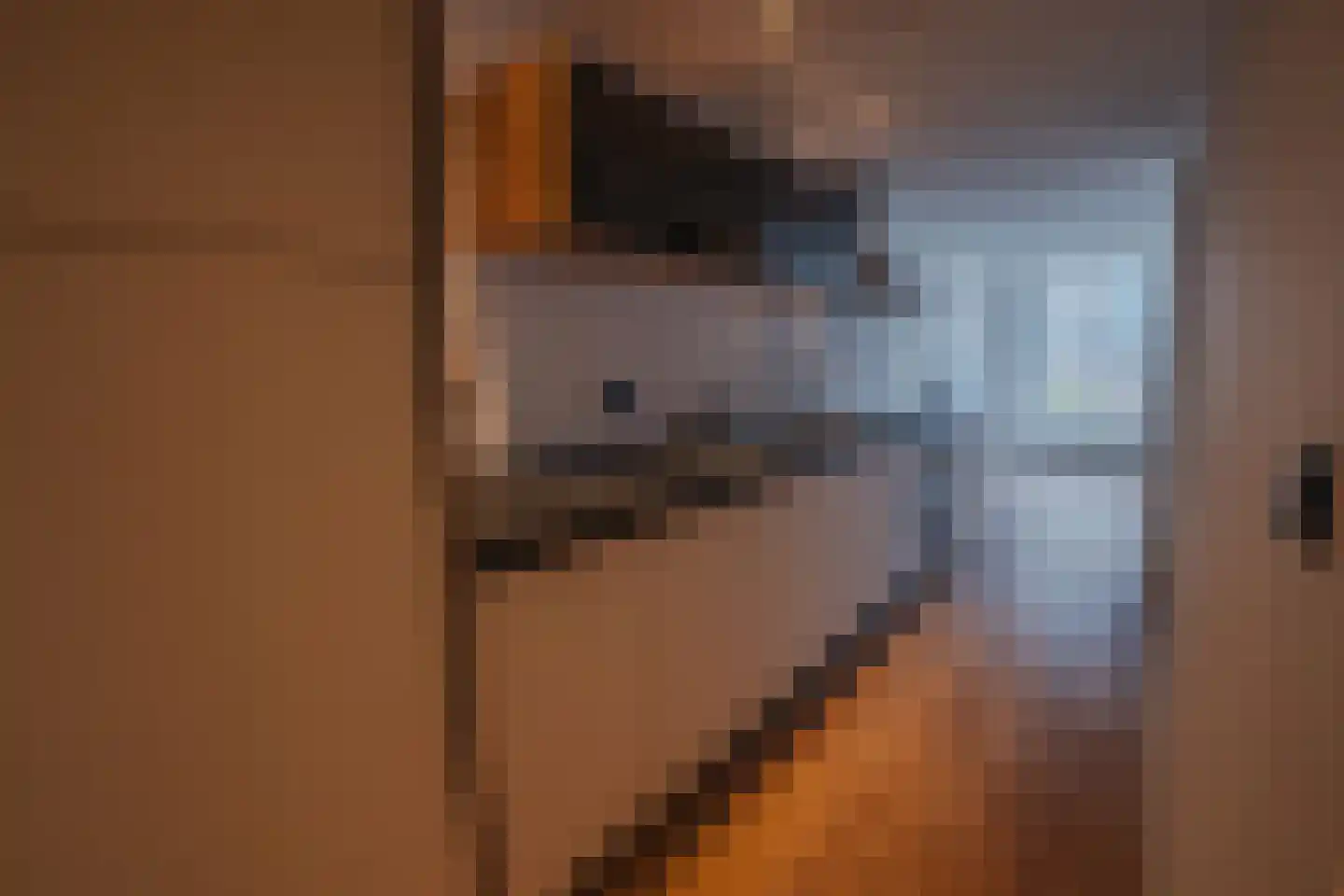 Ostendestraat 6 A Goes thumbnail 8