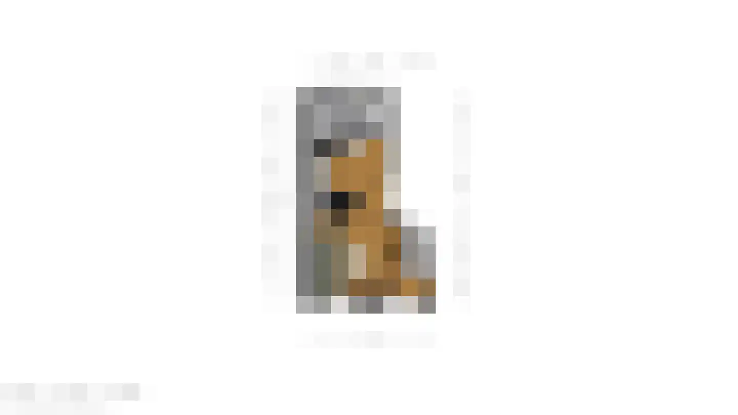 Ostendestraat 6 Goes thumbnail 26