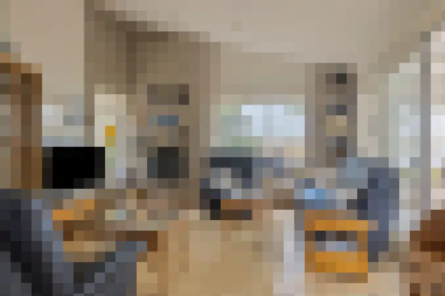 Ostrea 15 Kamperland thumbnail 12
