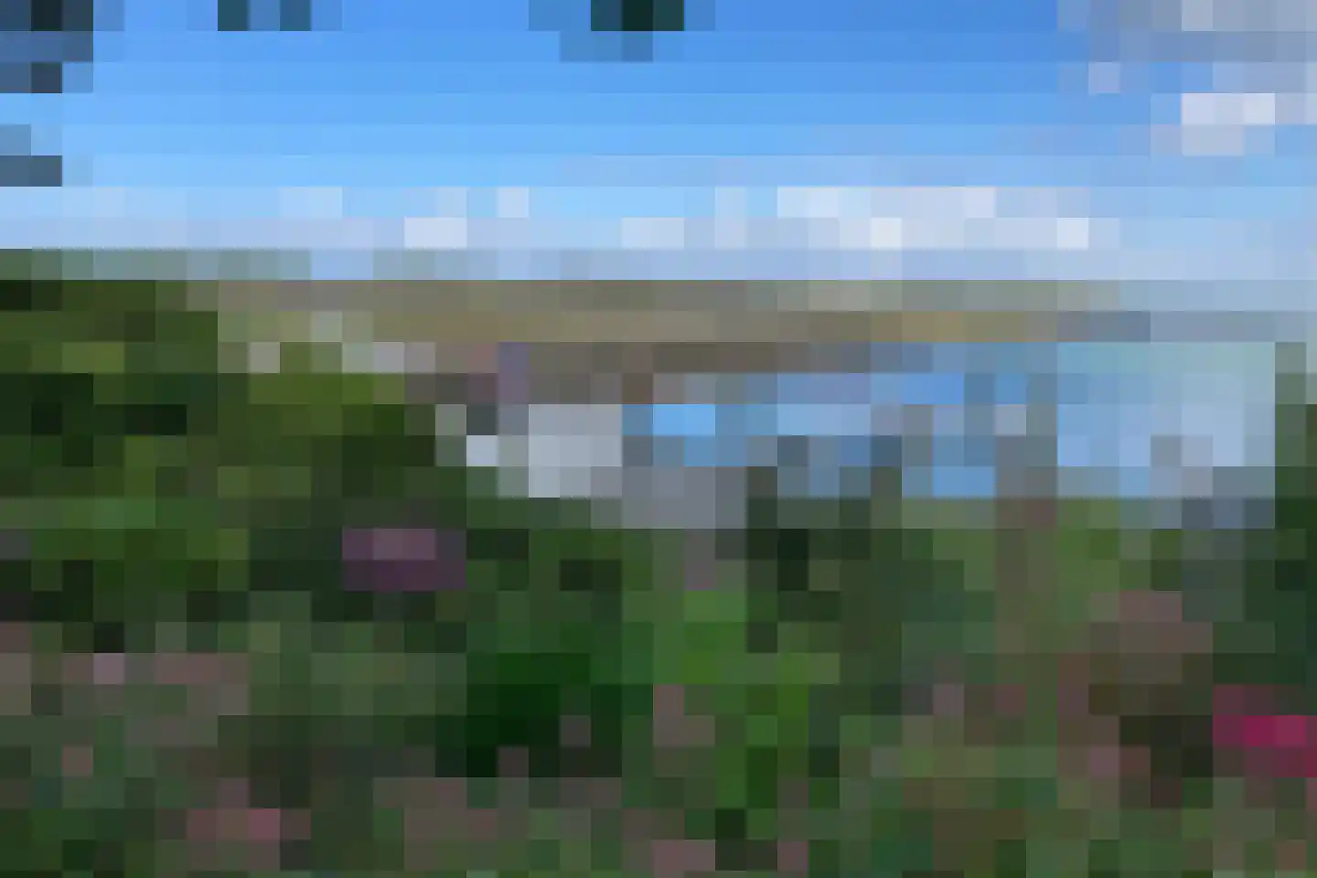 Ostrea 15 Kamperland thumbnail 35