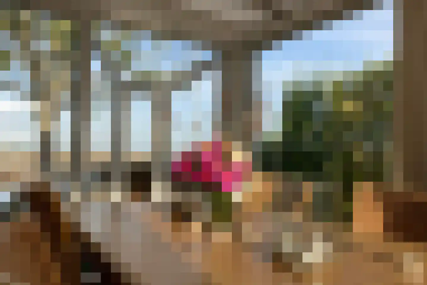 Ostrea 15 Kamperland thumbnail 36