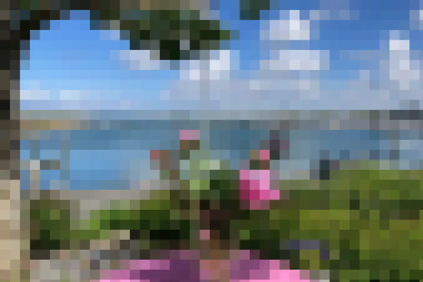 Ostrea 15 Kamperland thumbnail 37