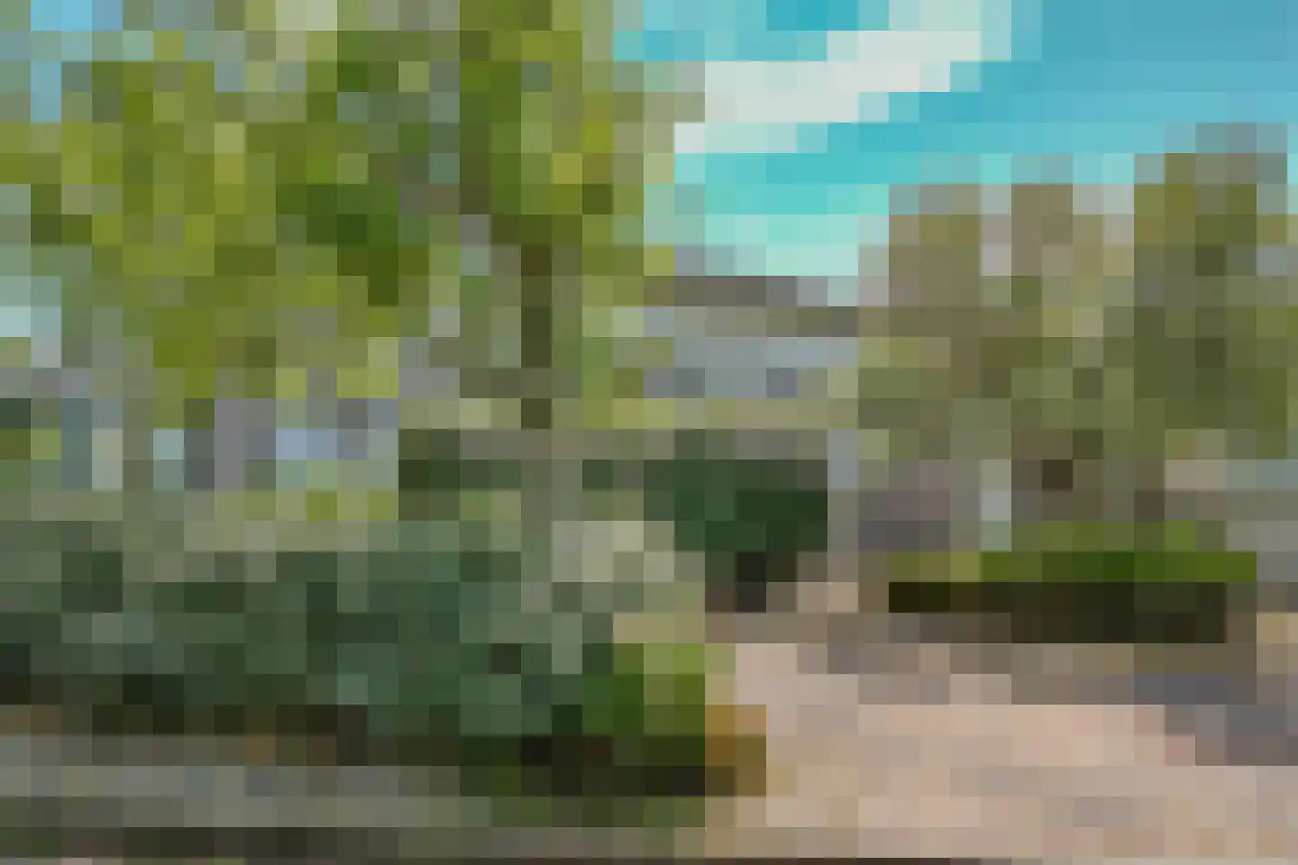Ostrea 15 Kamperland thumbnail 5