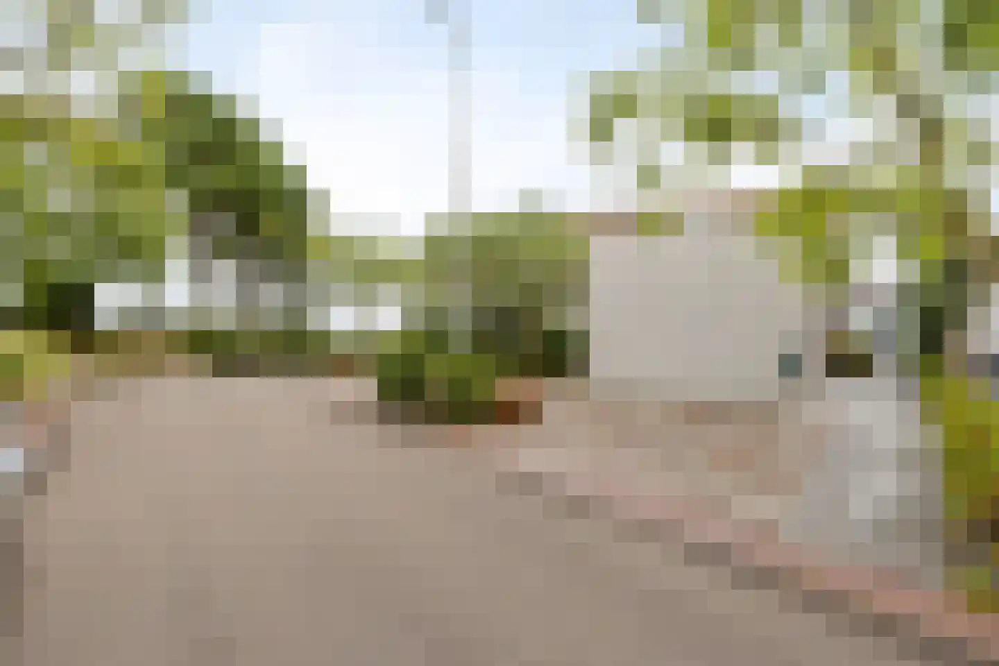 Ostrea 15 Kamperland thumbnail 7