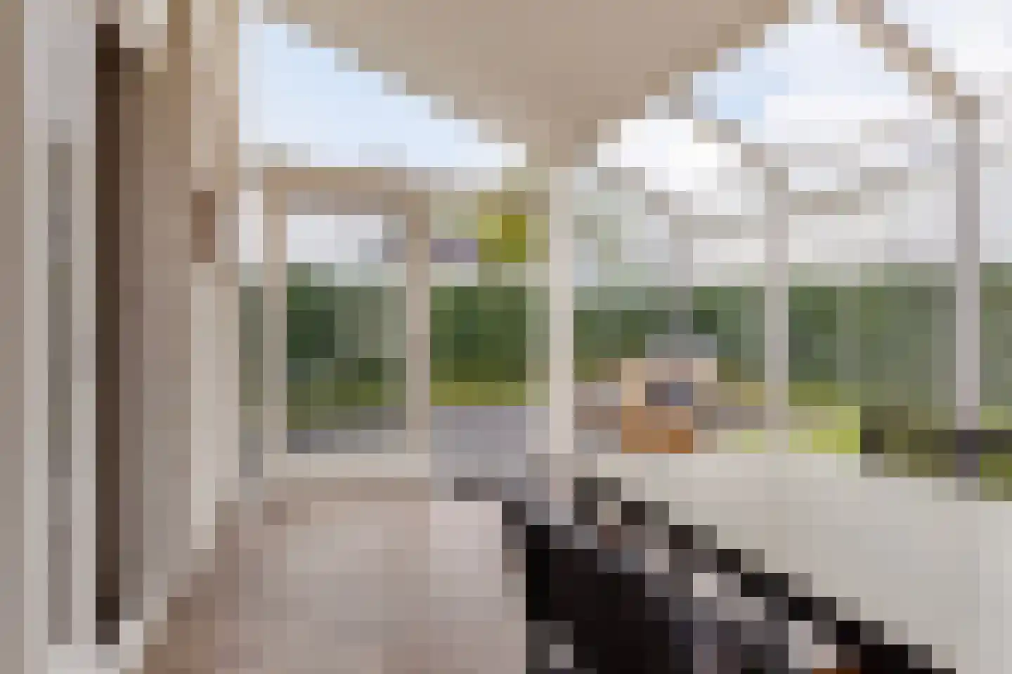 Ostrea 158 Kamperland thumbnail 13
