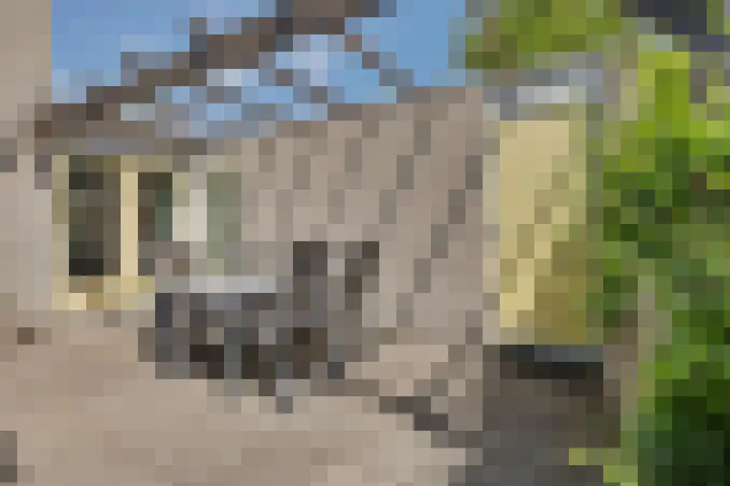Ostrea 26 Brouwershaven thumbnail 26