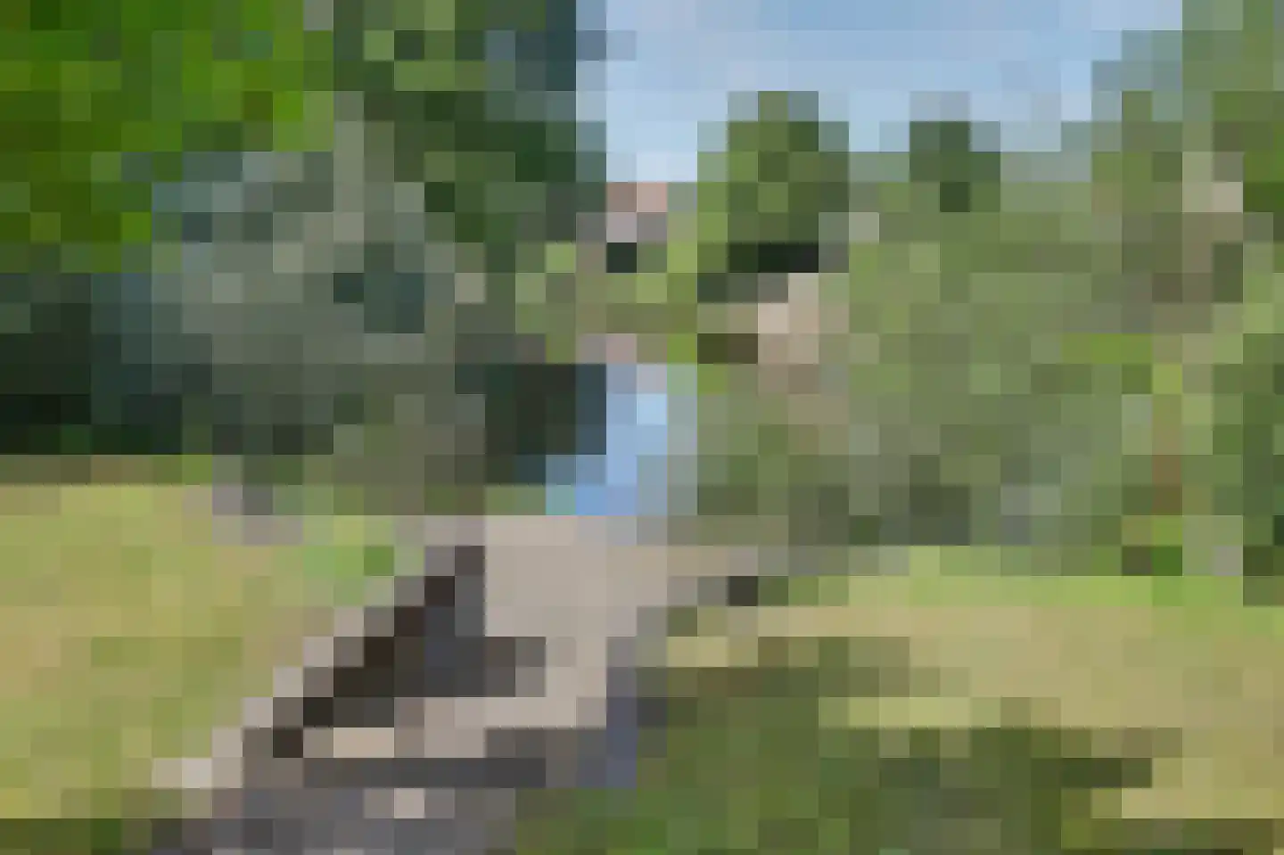 Ostrea 26 Brouwershaven thumbnail 29