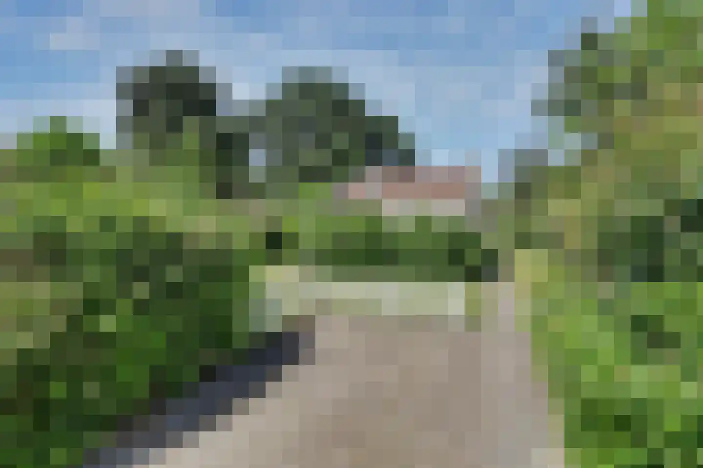 Ostrea 26 Brouwershaven thumbnail 4
