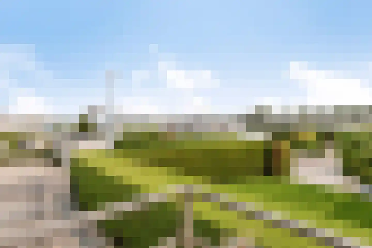 Ostrea 26 Kamperland thumbnail 21
