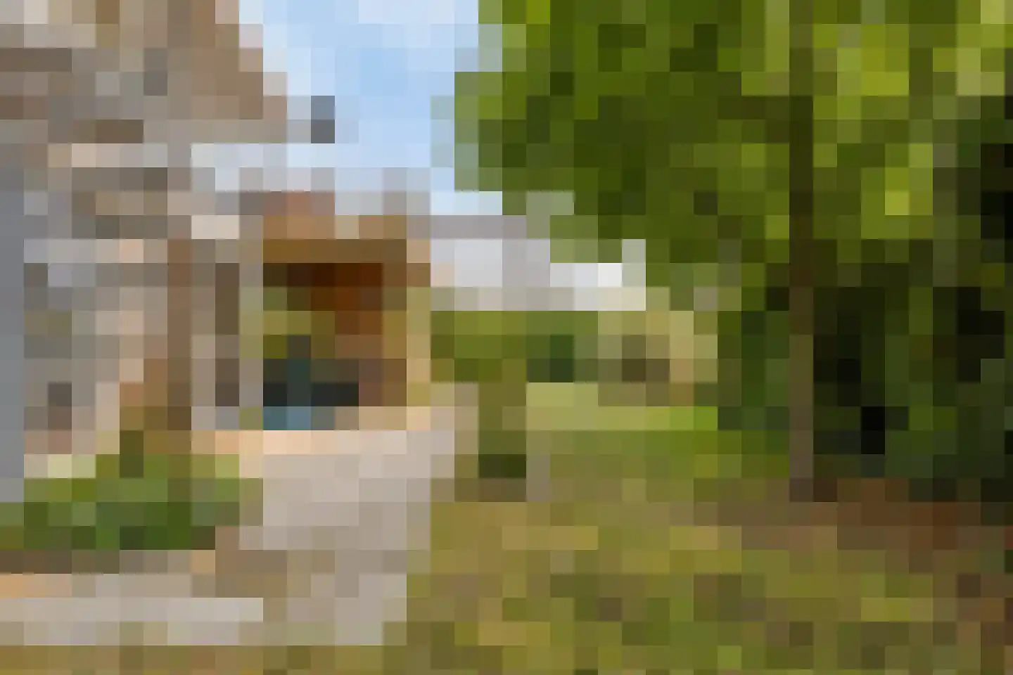 Ostrea 26 Kamperland thumbnail 23