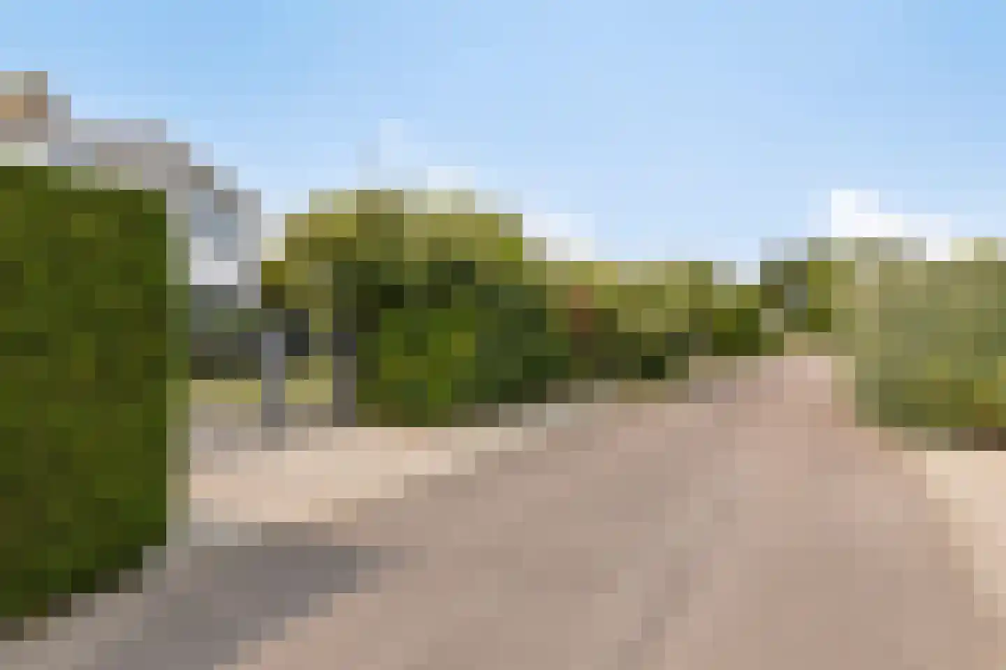 Ostrea 26 Kamperland thumbnail 29